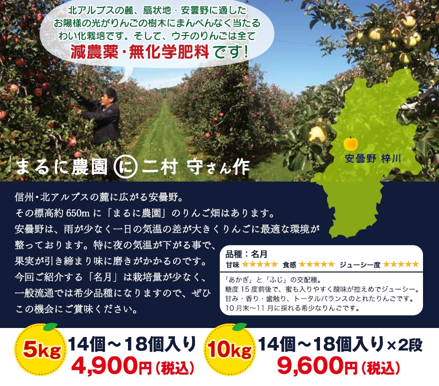 AM20160916ZXCV12ADAOIGC1950873BAZOXLVC9DAY14AD-81021000486.jpg